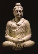 Buddha250